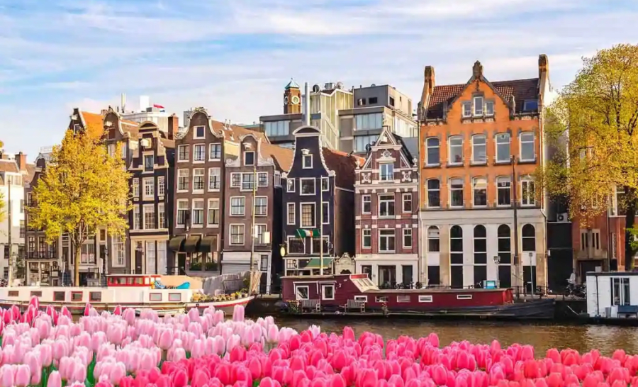 amterdam 